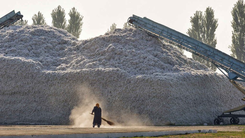 "MZ Cotton Company Multan